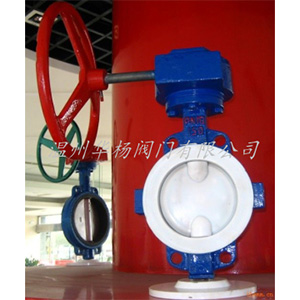 D371F46襯氟對夾蝶閥