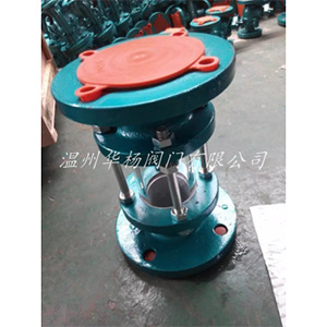 GL41F46襯氟Y型過濾器