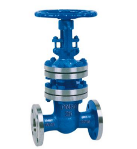 WZ41H國標波紋管閘閥