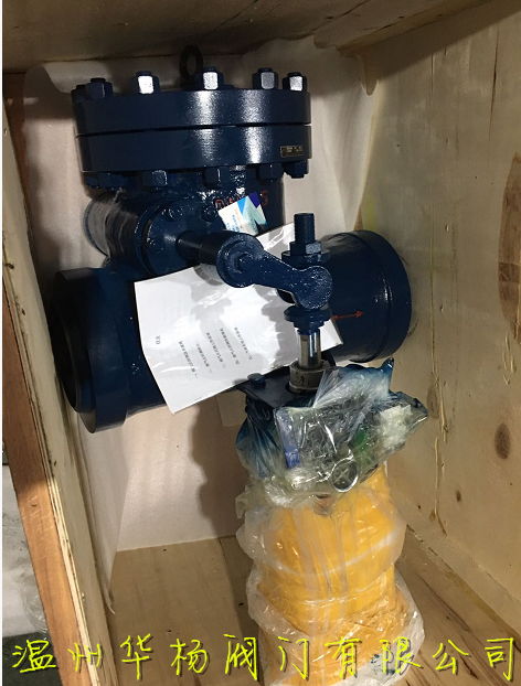 浙江抽汽止回閥