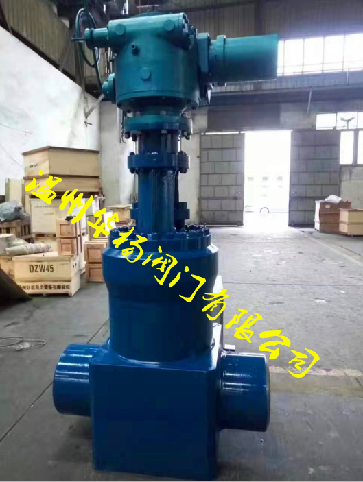 電站閥門 溫州華楊閥門有限公司